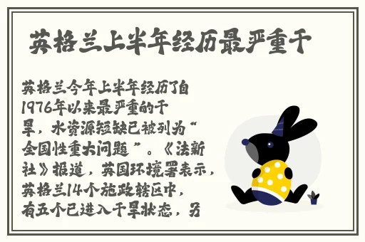 欧美打扑克摇床